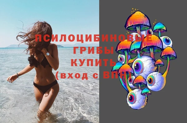 spice Алексин