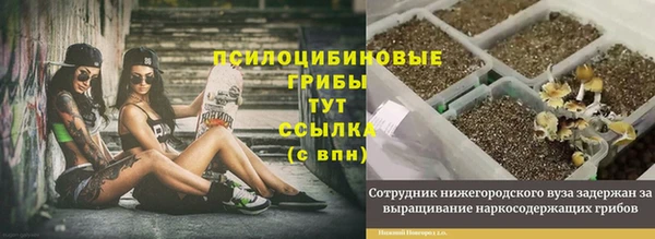 амф Няндома